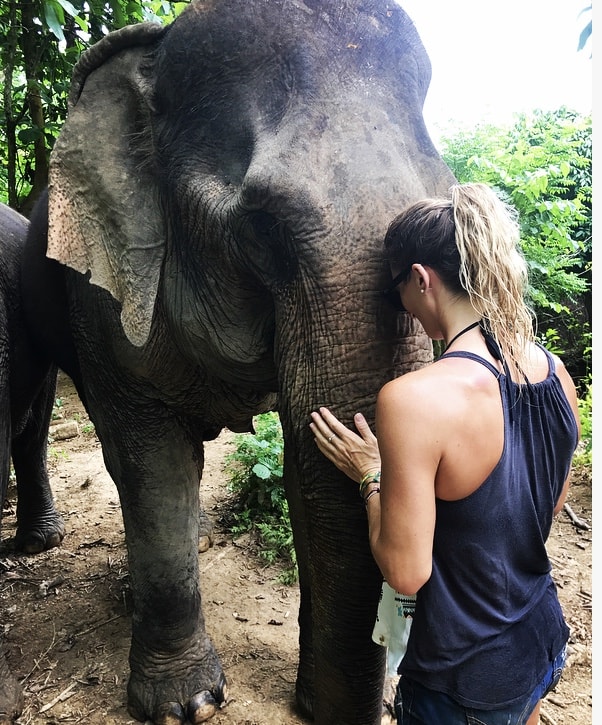 Gentle Giants in the Jungles of Laos- one of my all-time favorite experiences